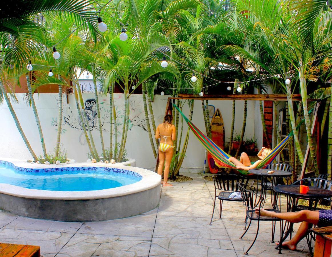 Casa Areka Pansiyon Panama Dış mekan fotoğraf